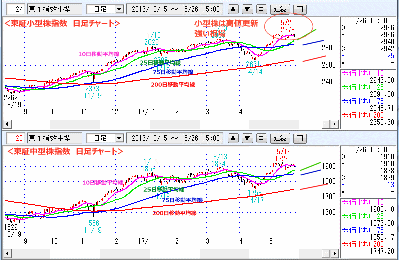 東証小型株指数＆東証中型株指数