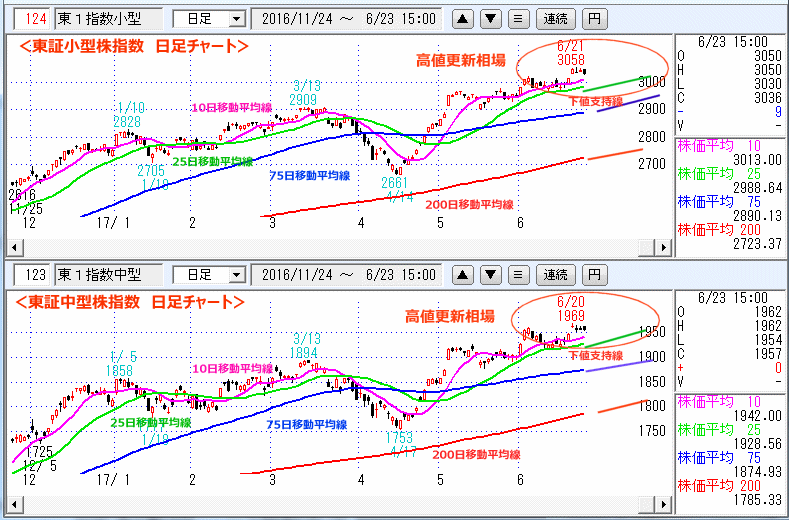 東証小型株指数＆東証中型株指数