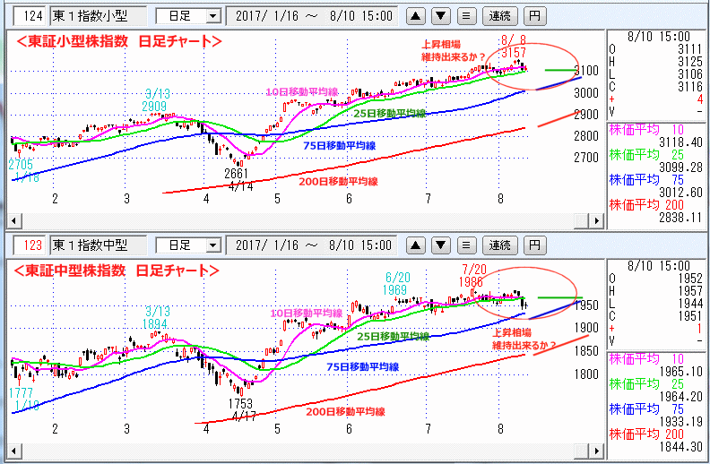 東証小型株指数＆東証中型株指数