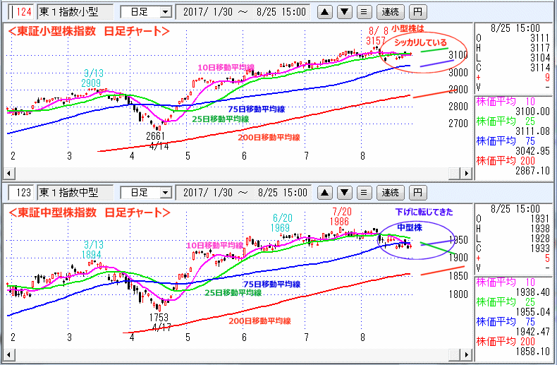 東証小型株指数＆東証中型株指数