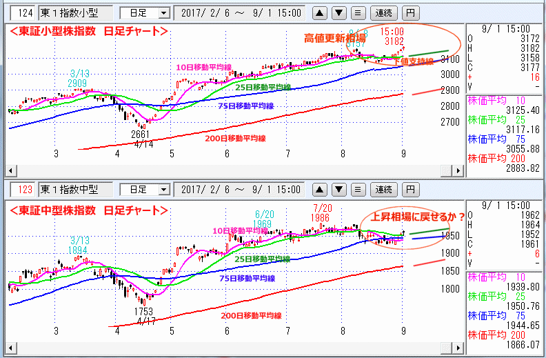 東証小型株指数＆東証中型株指数