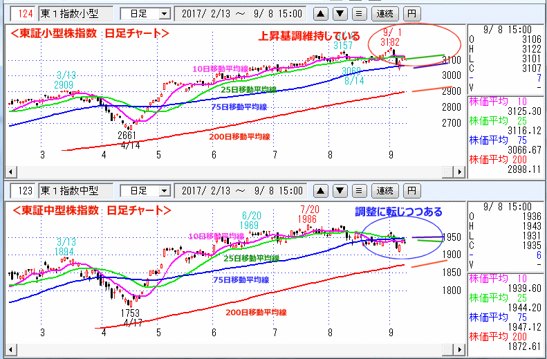 東証小型株指数＆東証中型株指数