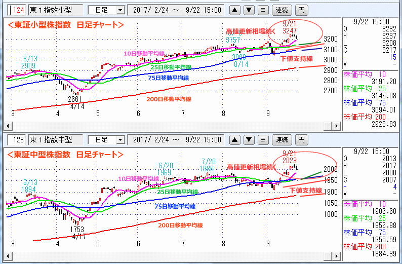 東証小型株指数＆東証中型株指数