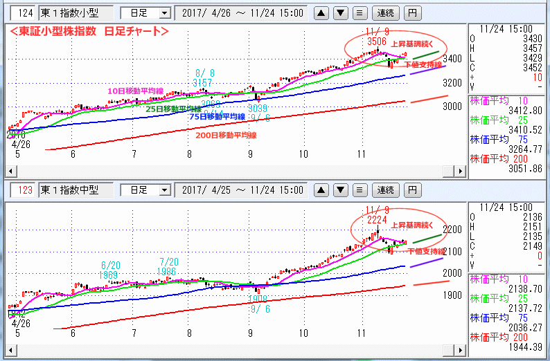 東証小型株指数＆東証中型株指数