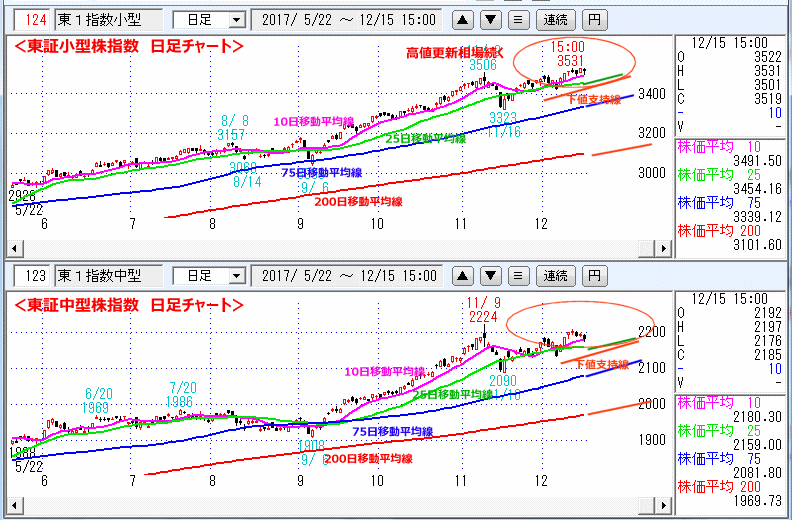 東証小型株指数＆東証中型株指数