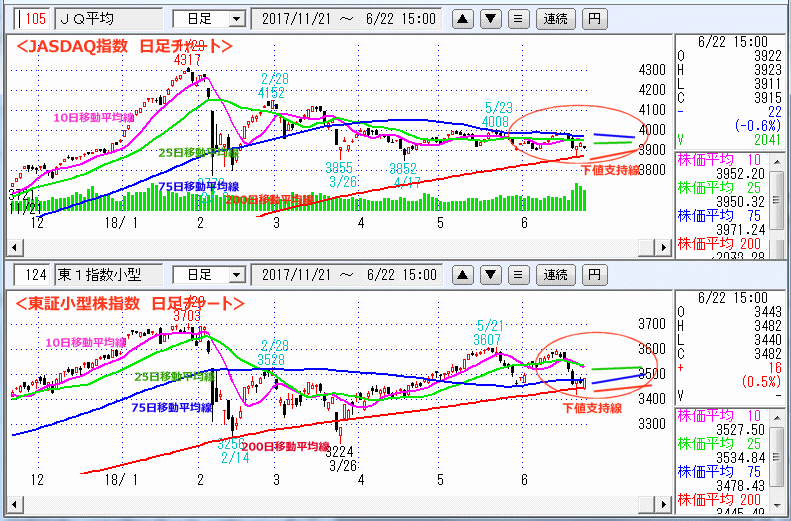 JASDAQ指数＆東証小型株指数 日足チャート