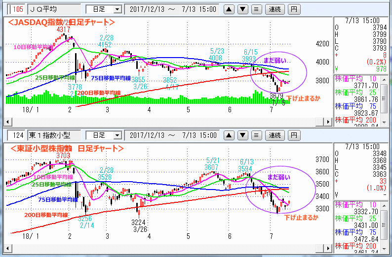 JASDAQ指数＆東証小型株指数 日足チャート