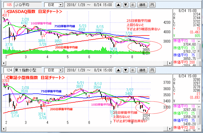 JASDAQ指数＆東証小型株指数 日足チャート