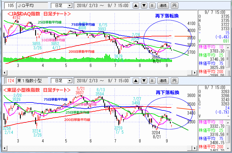 JASDAQ指数＆東証小型株指数 日足チャート