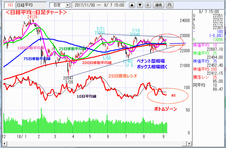 日経平均　日足チャート