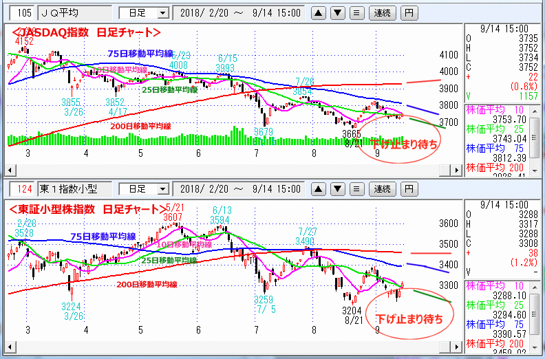 JASDAQ指数＆東証小型株指数 日足チャート