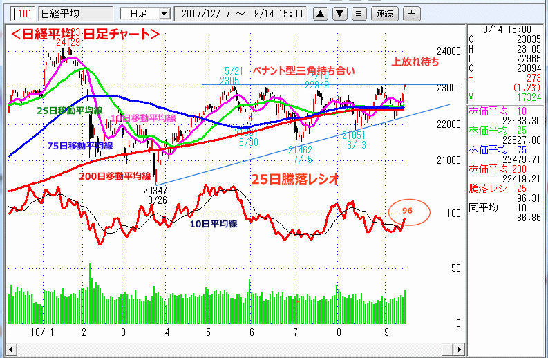 日経平均　日足チャート