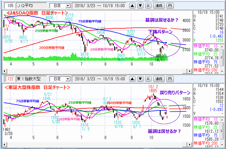 JASDAQ指数＆東証大型株指数 日足チャート