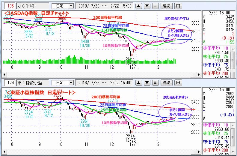 JASDAQ指数＆東証小型株指数 日足チャート