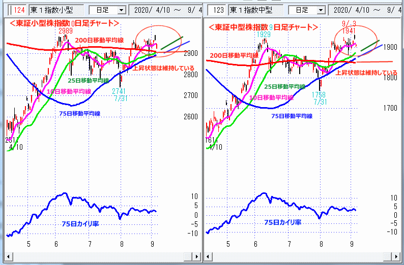 東証中小型株指数　日足チャート