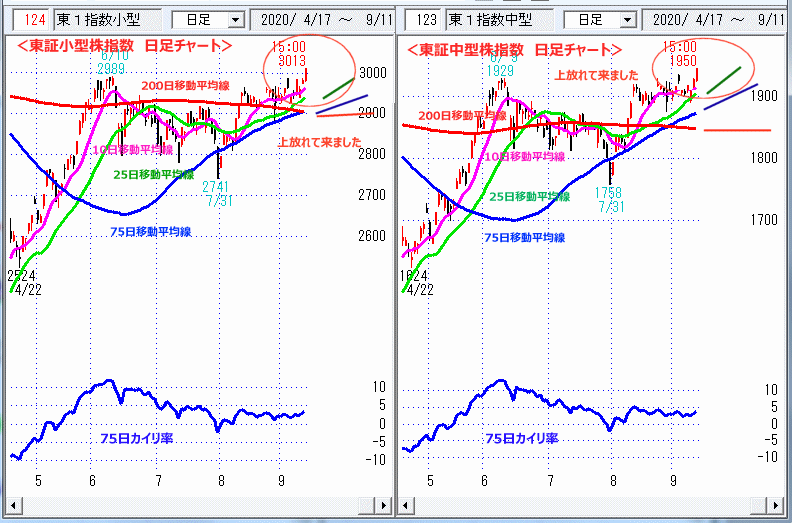 東証中小型株指数　日足チャート