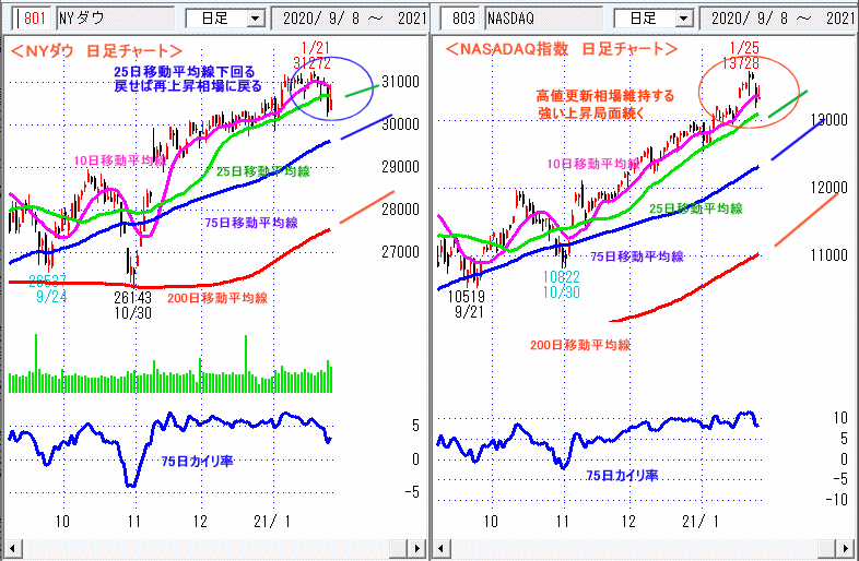 ＮＹダウ　NASADAQ指数　日足チャート
