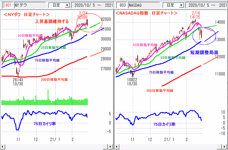 ＮＹダウ　NASADAQ指数　日足チャート