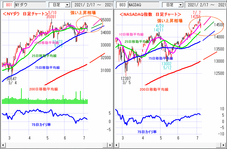 ＮＹダウ　NASADAQ指数　日足チャート
