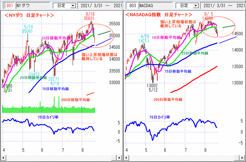 ＮＹダウ　NASADAQ指数　日足チャート