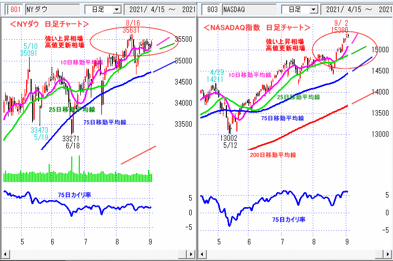 ＮＹダウ　NASADAQ指数　日足チャート