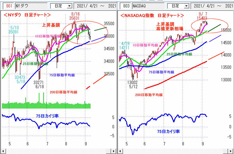 ＮＹダウ　NASADAQ指数　日足チャート