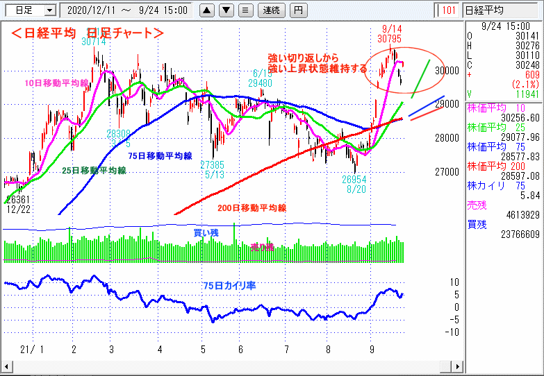 日経平均　日足チャート