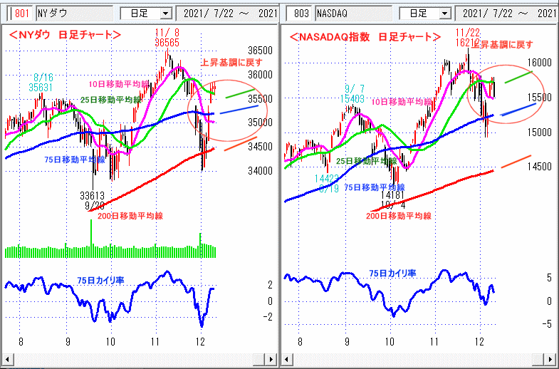 ＮＹダウ　NASADAQ指数　日足チャート
