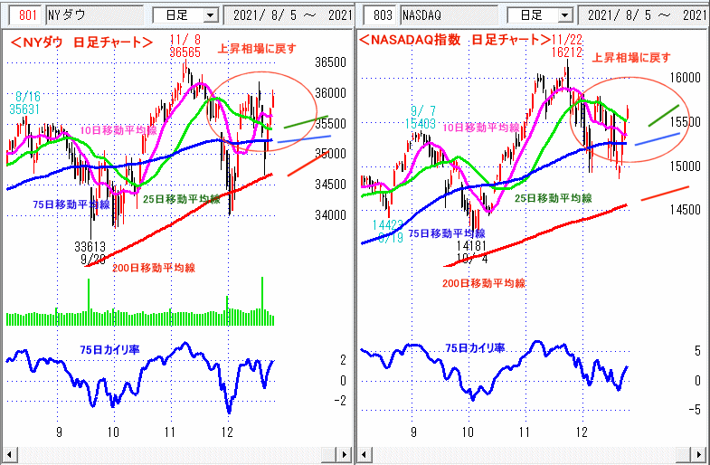 ＮＹダウ　NASADAQ指数　日足チャート