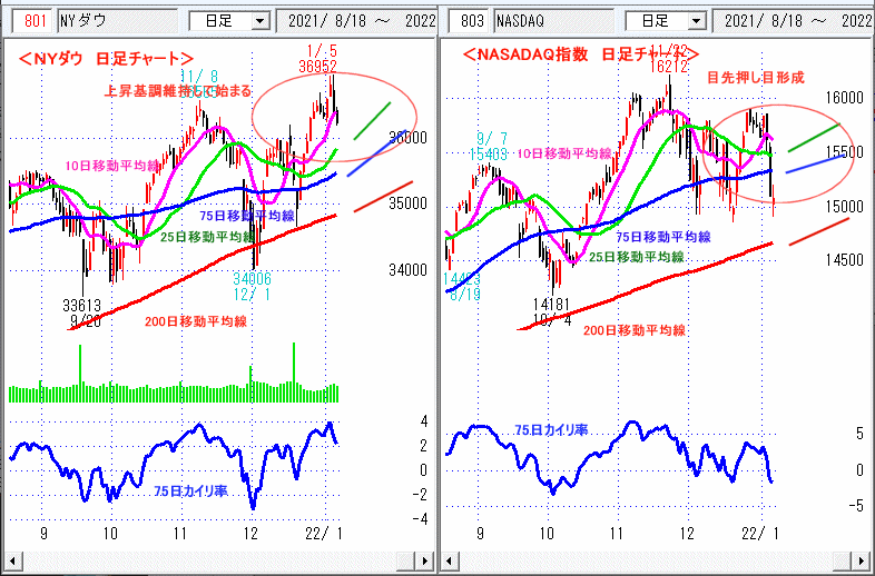 ＮＹダウ　NASADAQ指数　日足チャート