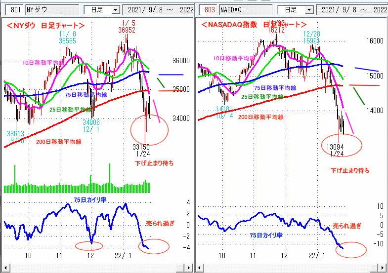 ＮＹダウ　NASADAQ指数　日足チャート
