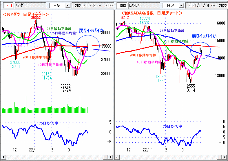ＮＹダウ　NASADAQ指数　日足チャート