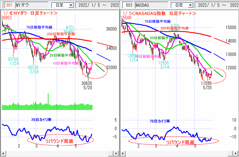 ＮＹダウ　NASADAQ指数　日足チャート