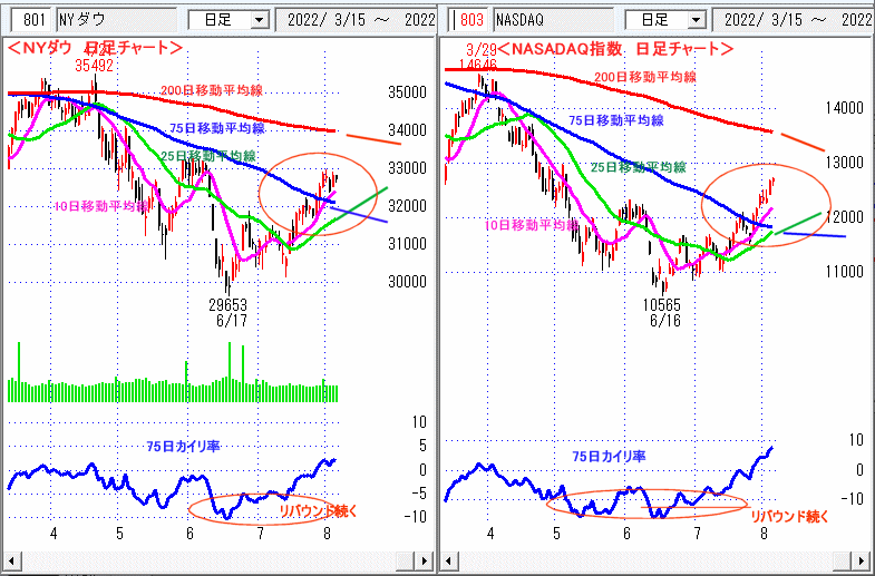 ＮＹダウ　NASADAQ指数　日足チャート