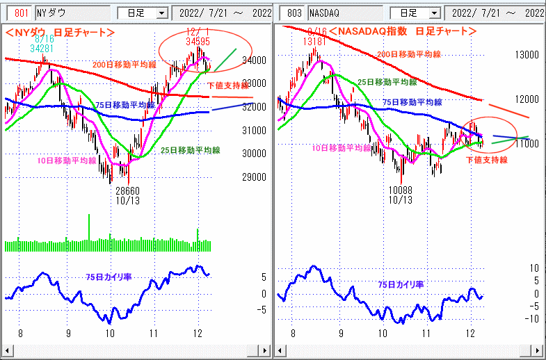 ＮＹダウ　NASADAQ指数　日足チャート