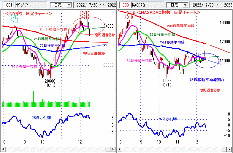 ＮＹダウ　NASADAQ指数　日足チャート